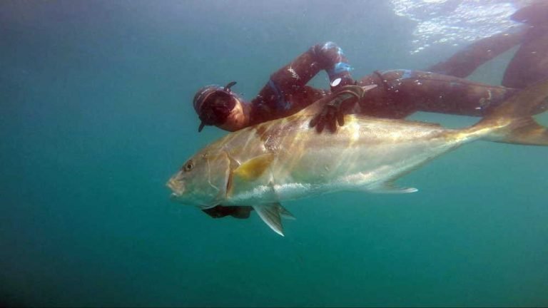spear fishing things to do in manta ecuador
