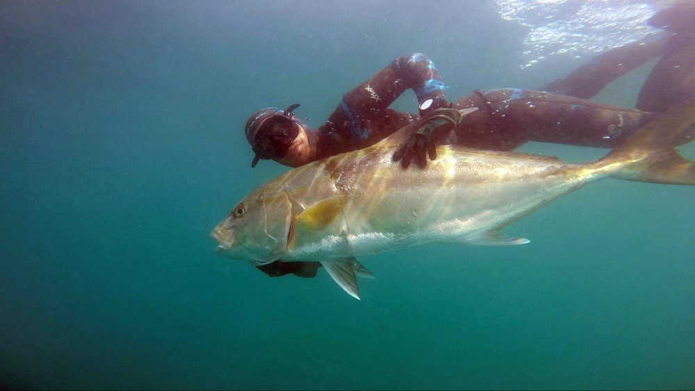 spear fishing things to do in manta ecuador